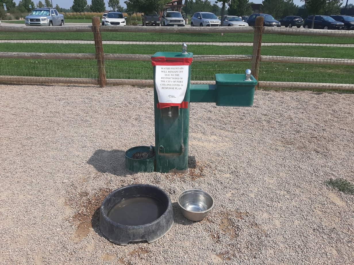 Spring Canyon Dog Park Fort Collins, CO Off Leash Dog Park